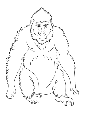 Gorilla Ape Coloring Page